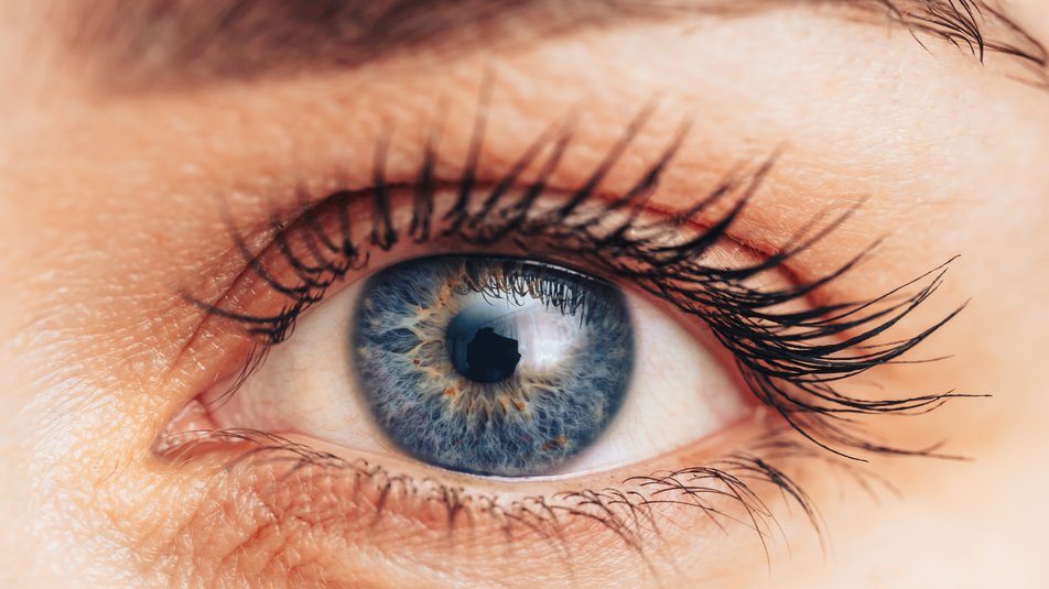 “Мокре” та “сухе” око: в чому різниця, групи ризику та коли йти до лікаря. Пояснює офтальмолог